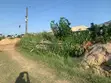 Half Plot of Land for Sale, Oluodo Adegbose - 1