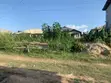 Half Plot of Land for Sale, Oluodo Adegbose - 3
