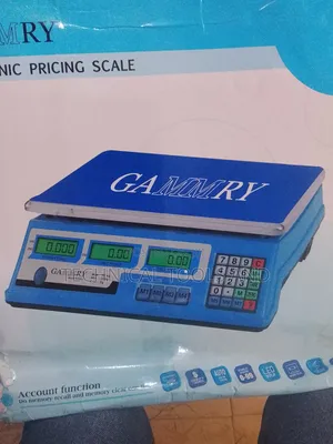 Gammry 40kg Electronic Pricing Scale - Sabon Kaya