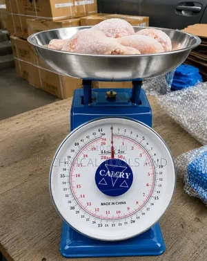 Manual Hanging Weighing Scale - 20kg Capacity