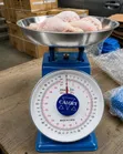 Manual Hanging Weighing Scale - 20kg Capacity - 2