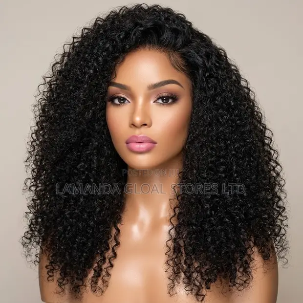 Long Kinky Curly Lace Front Human Hair Wig - 1