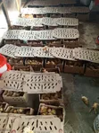 Day Old Layer Chicks - 3