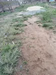 Quarter Plot of Land for Sale in Ayobo (30x70) - 2