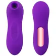 Rechargeable Nipple & Clitoral Sucker Vibrator - 1