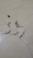 Fumigation and Pest Control Services - 2