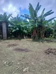 Functional Warehouse on 4 Plots, NTA Ozuoba - 5
