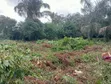 2 Plots of Land with Two Rooms for Sale in Ikorodu - 4
