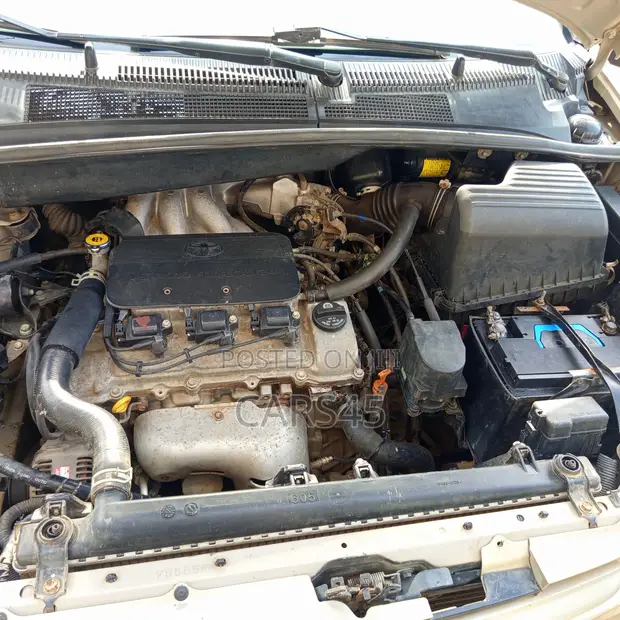 Toyota Sienna 2000 Zinariya - 1
