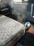 Upholstery Cleaning Services - 3