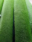 Turkey Quality Artificial Grass 35mm - 1