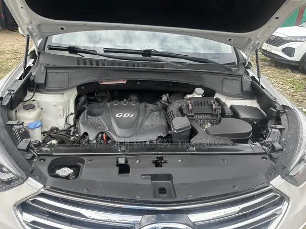 Hyundai Santa Fe 2018 White - 1