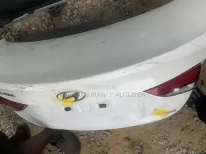 Used Hyundai Elantra 2016 Back Boot