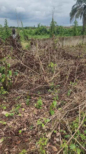 Filin 600sqm Don Siyawa a Epe, Bayan Otedola Estate