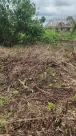 Filin 600sqm Don Siyawa a Epe, Bayan Otedola Estate - 2