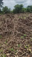 Filin 600sqm Don Siyawa a Epe, Bayan Otedola Estate - 3