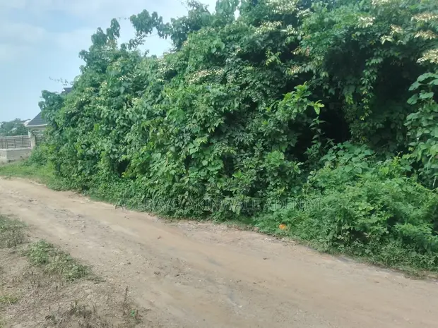 Commercial Land for Sale Behind Fountain University, Osogbo - 1