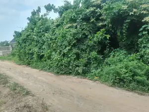 Commercial Land for Sale Behind Fountain University, Osogbo