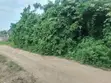 Commercial Land for Sale Behind Fountain University, Osogbo - 1