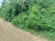 Commercial Land for Sale Behind Fountain University, Osogbo - 2