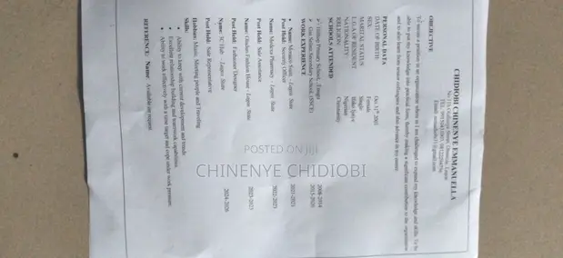 Housekeeping & Cleaning CV - Hardworking Professional - 1