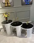 3-in-1 Side Stool Set - 2