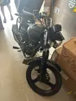 Denstar Taurus 2022 Black - 1