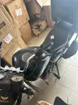 Denstar Taurus 2022 Black - 2