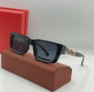 High Quality Luxury Palm Angels Sunglasses