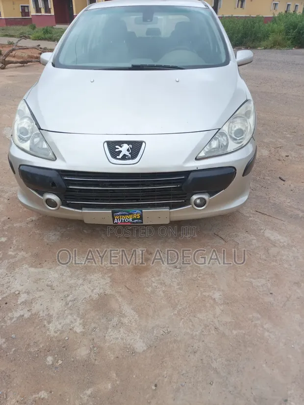 Peugeot 307 2007 Silver - 1