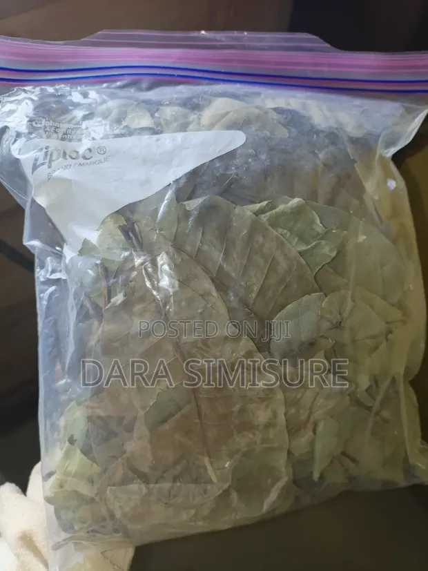 Fresh and Dry Soursop - 1