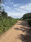 400 Acres Land for Sale at Ilaju, Ido, Ibadan, Oyo State - 1