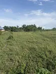 400 Acres Land for Sale at Ilaju, Ido, Ibadan, Oyo State - 2
