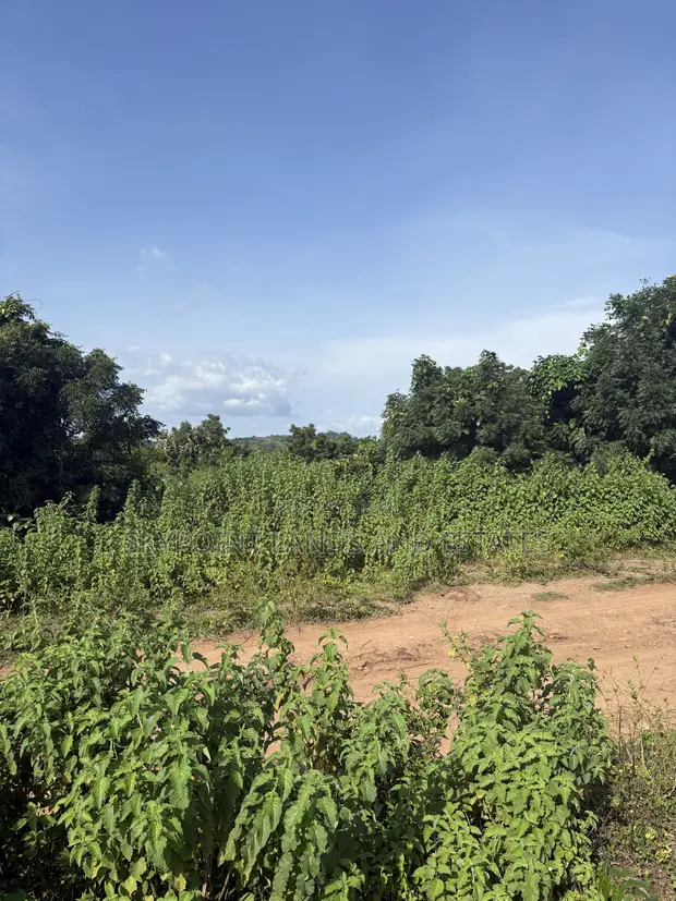 50 Acres Commercial Land for Sale, Anigioro Village, Oyo State - 1