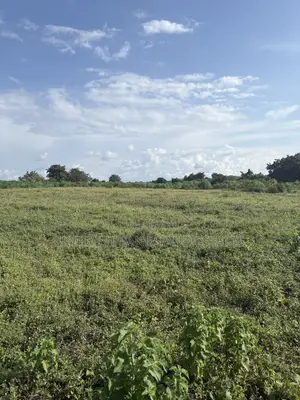 50 Acres Commercial Land for Sale, Anigioro Village, Oyo State