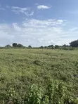 50 Acres Commercial Land for Sale, Anigioro Village, Oyo State - 2