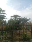800sqm Plot of Land for Sale, Kubwa 2/1 - 4