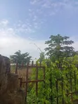 800sqm Plot of Land for Sale, Kubwa 2/1 - 5