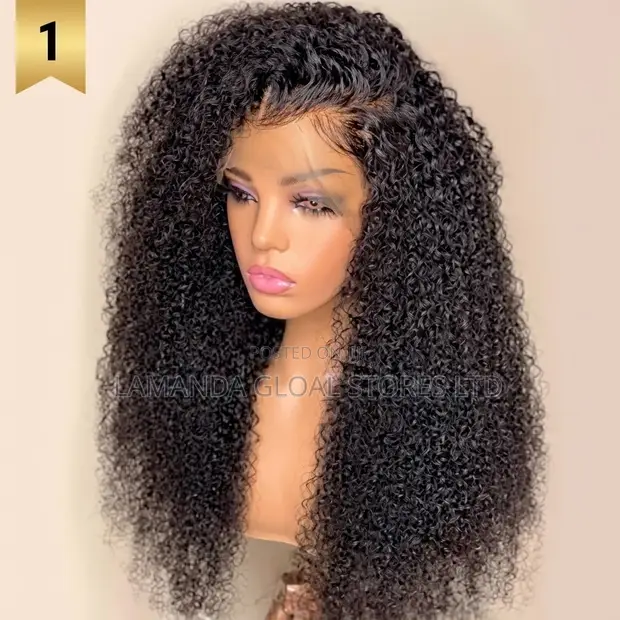 Long Kinky Curly Side Part HD Lace Front Human Hair Wig - 1