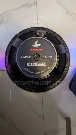 High Sound 15" Naked Speaker HS-19075