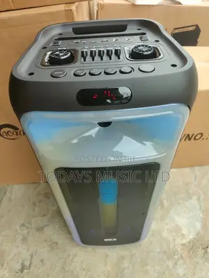 WDLR Outdoor Karaoke Wireless Speaker with Microphone