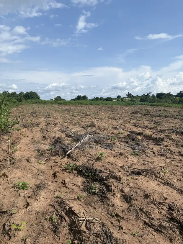 100 Acres Farmland for Sale, Idi Ori Area, Iseyin, Oyo State - 1