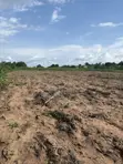 Acre 100 na Filin Noma don Siyarwa, Idi Ori Area, Iseyin, Jihar Oyo - 1