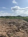 Acre 100 na Filin Noma don Siyarwa, Idi Ori Area, Iseyin, Jihar Oyo - 2
