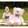 Giant Pink Teddy Bear Toy for Girlfriend & Kids - 5
