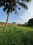 Filin 3435sqm da Tsohuwar Gida Mai Rusawa a Agodi GRA, Ibadan - 2