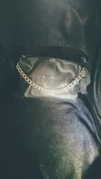 Prince Good's Used Large Handbag - 3