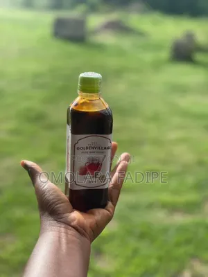 350ml Golden Village Pure Honey - Akure