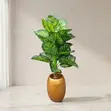 Artificial Calathea Floor Plant in Gold Planter - 2