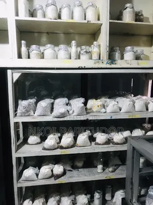 Mushroom Seed (Spawn) - Mother Culture